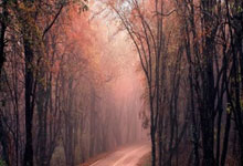 6000x1500x5钢板有多重,6000*1500*10的钢板多重