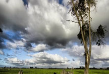 东风大力神自卸车型号,东风大力神自卸车自重多少吨