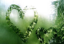 东风大力神自卸车图片,东风大力神新车图片